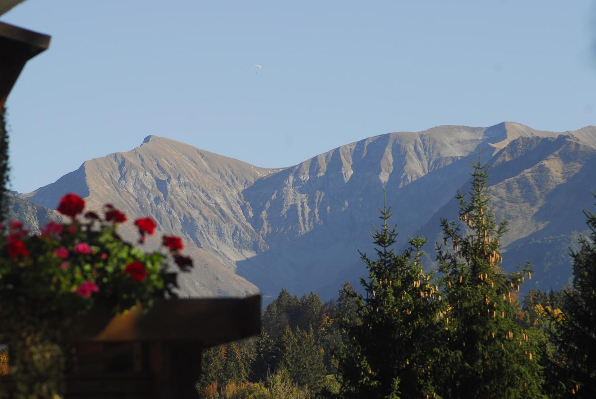 Winkelhof Apartment Oberstdorf Ngoại thất bức ảnh